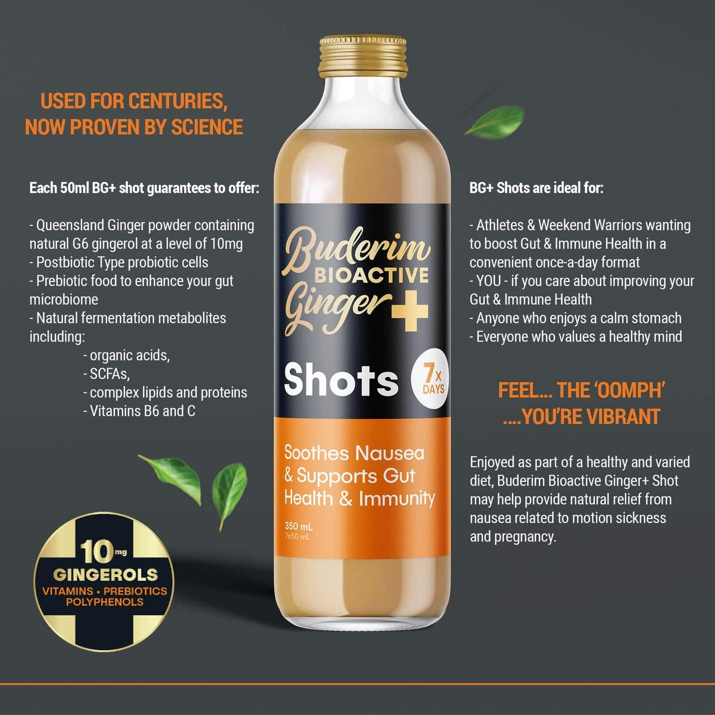 Buderim Ginger BioActive Ginger+ Shots 350ml