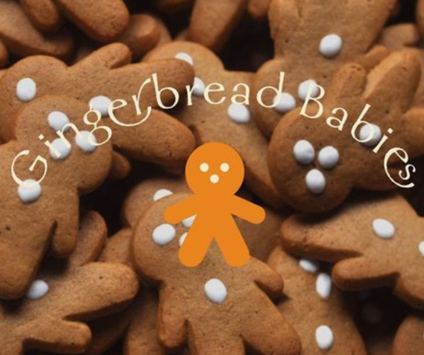 Perryman's Gingerbread Babies 200g